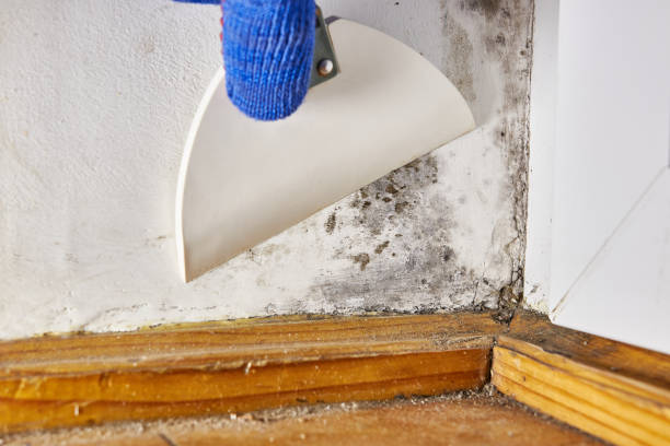 Best Air Quality Testing for Mold Spores  in Bixby, OK